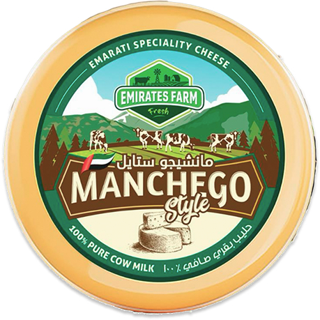 Manchego Tomato Sandwich